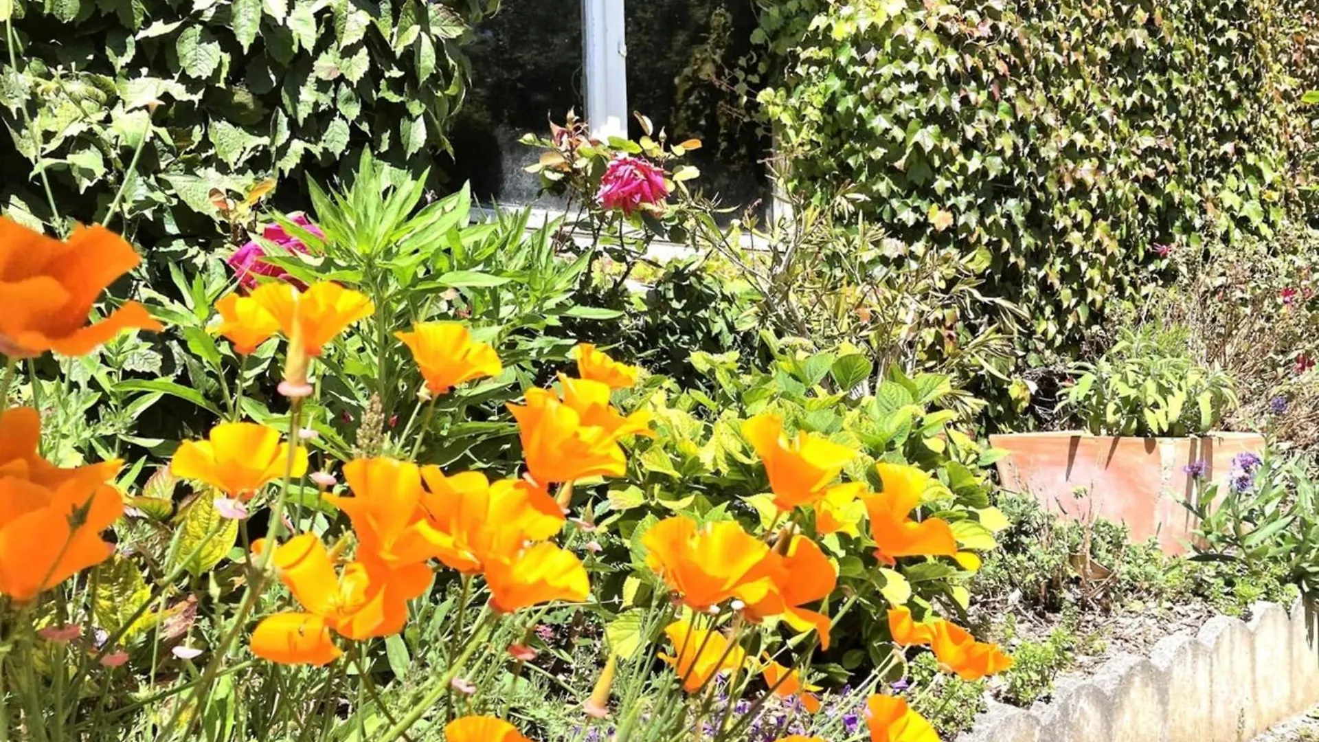 Holiday home La Corniche-Maison Vue Mer Avec Grand Jardin Brignogan-Plages